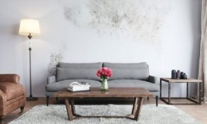 dinding rumah lembap, tips mengatasi dinding lembap