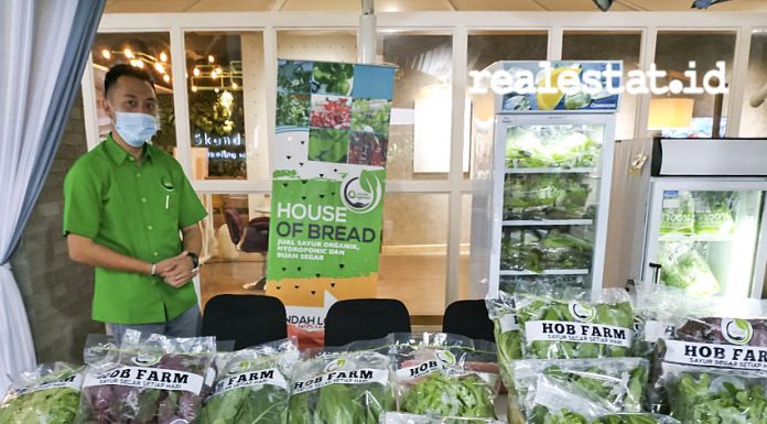 Apartemen Skandinavia, Year End Bazaar buah dan sayur organik apartemen Skandinavia, Hene Putro