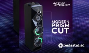 polytron active speaker PAS 8SCA22 realestat.id dok