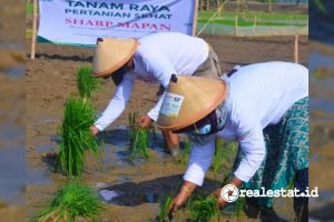 Sharp Mapan Tingkatkan Kesejahteraan Petani Di Masa Pandemi realestat.id dok