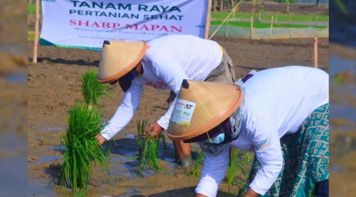 Sharp Mapan Tingkatkan Kesejahteraan Petani Di Masa Pandemi realestat.id dok