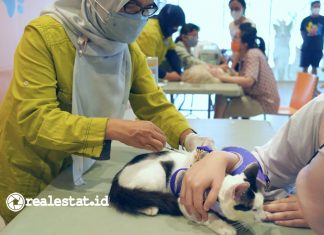 Pet Kingdom Kepedulian Hewan Peliharaan Care For Paw Rabies Day realestat.id dok