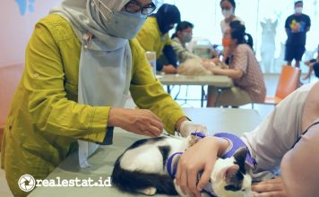 Pet Kingdom Kepedulian Hewan Peliharaan Care For Paw Rabies Day realestat.id dok
