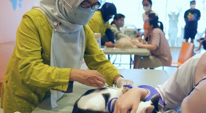 Pet Kingdom Kepedulian Hewan Peliharaan Care For Paw Rabies Day realestat.id dok