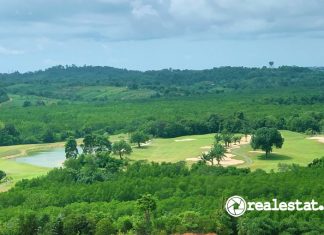 Hutan Mangrove Bakau di Nuvasa Bay Batam realestat.id dok