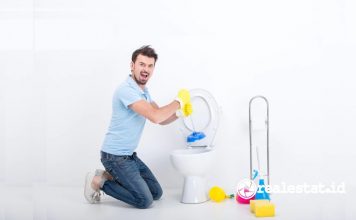 Tips Atasi WC dan Saluran Air Tersumbat Mampet realestat.id dok
