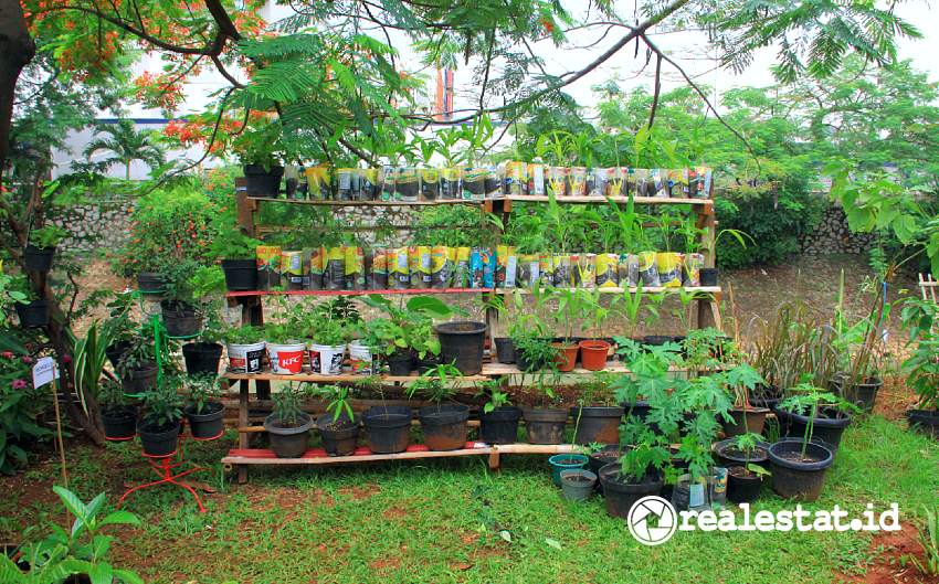 Urban farming (Foto: realestat.id)