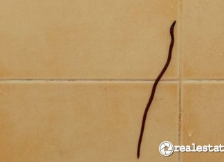 cara menghilangkan cacing di kamar mandi