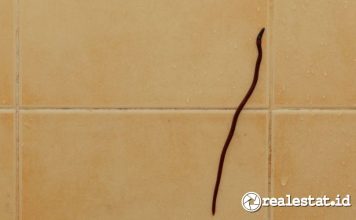 cara menghilangkan cacing di kamar mandi