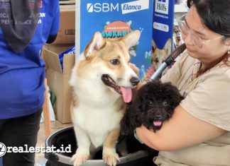 Dog Friendly Apartment Jakarta Barat Aerium Residence Hewania Vet Clinic realestat.id dok