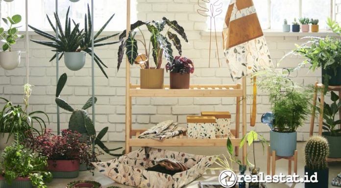 Koleksi IKEA DAKSJUS untuk Ciptakan Konsep Rumah Hijau dan Asri dalam Ruang Terbatas