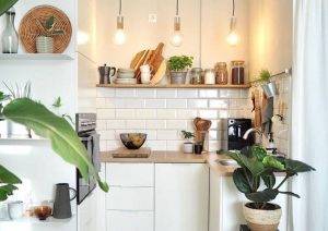 Dapur Cantik Sederhana dengan tanaman hias. (Sumber: Pinterest)