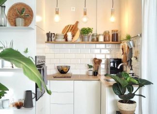 Dapur Cantik Sederhana dengan tanaman hias-pinterest