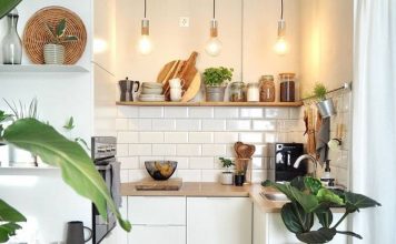 Dapur Cantik Sederhana dengan tanaman hias-pinterest