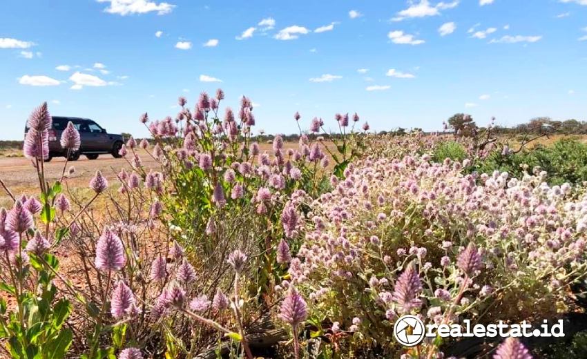 Luxury Outback Tour Australia Barat Realestat.id dok