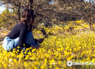 Nikmati Keindahan Bunga Liar di Woolen Station Australia Barat Realestat.id dok