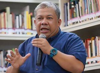 Profil Fahri Hamzah, Wamen Perumahan dan Pemukiman Era Presiden Prabowo-RealEstat.id