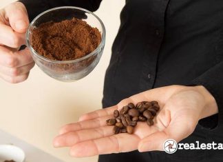 Cara Mengusir Tikus dengan Kopi-RealEstat.id