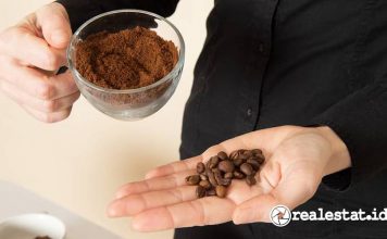 Cara Mengusir Tikus dengan Kopi-RealEstat.id