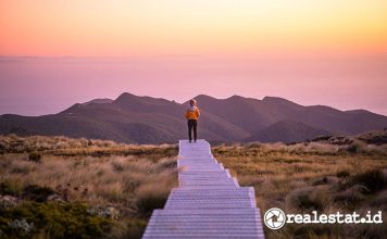 Tempat wisata di Selandia Baru salah satunya adalah The Tuatapere Hump Ridge Track (Credit_ Liz Carlson)-RealEstat.id