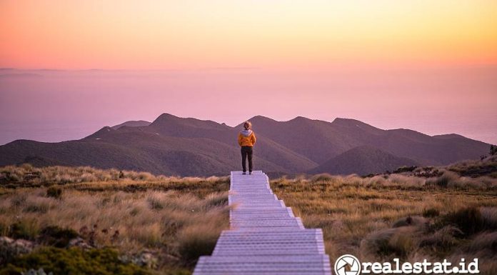 The Tuatapere Hump Ridge Track menjadi salah satu tempat wisata dengan pemandangan terindah di Selandia Baru. (Foto: Liz Carlson)