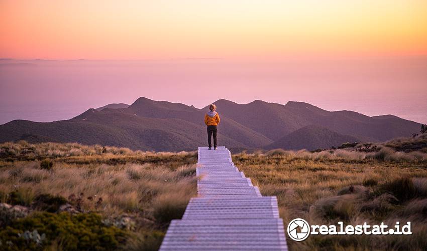 The Tuatapere Hump Ridge Track menjadi salah satu tempat wisata dengan pemandangan terindah di Selandia Baru. (Foto: Liz Carlson)