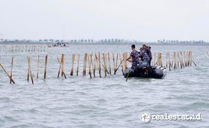 Pembongkaran Pagar Laut Tangerang (Foto: Dok. ATR/BPN) 