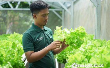 Sharp Hydro Heroes Sukses Ciptakan Petani Muda Berkelanjutan-RealEstat.id