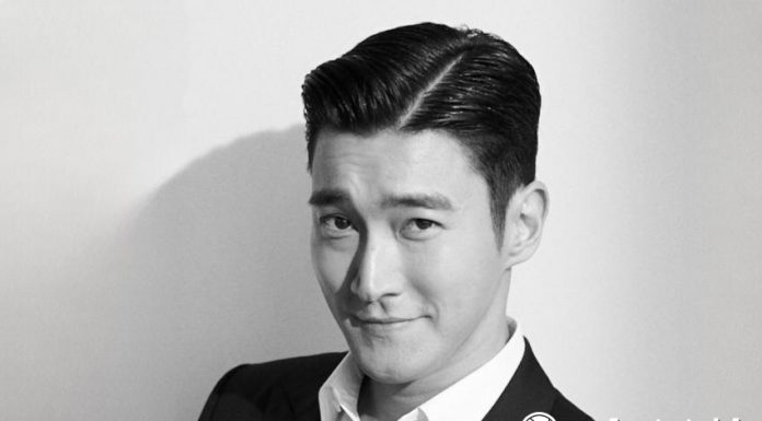 Choi Siwon Super Junior Properti realestat.id dok