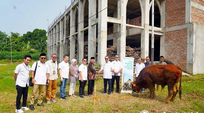 Penyerahan hewan kurban untuk seluruh wilayah di sekitar proyek Sinar Mas Land dilakukan secara simbolis oleh Pengurus Yayasan Muslim Sinar Mas Land kepada Pengurus Dewan Kemakmuran Masjid (DKM) Masjid Raya Raudhatul Jannah,  Islamic Center di BSD City pada 5 Juni 2025. (Foto: Istimewa)