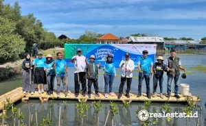 Sinar Mas Land Aksi Menanam Pohon Konservasi Mangrove 2025 Semangat Melestarikan Lingkungan realestat.id dok