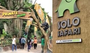Solo Safari menjadi Tempat Wisata di Solo Terbaru-RealEstat.id