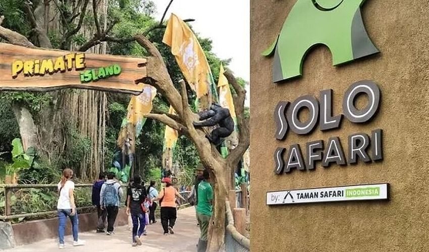 Solo Safari menjadi Tempat Wisata di Solo Terbaru-RealEstat.id