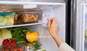 suhu normal kulkas 1 pintu-RealEstat.id