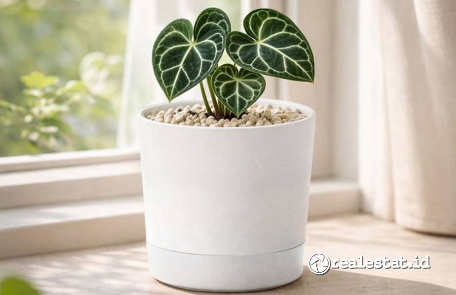 cara menanam tanaman hias di rumah-RealEstat.id