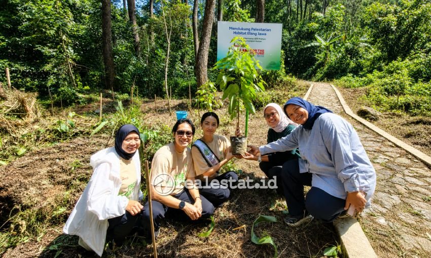 sharp indonesia penanaman 600 pohon rasamala elang jawa realestat.id